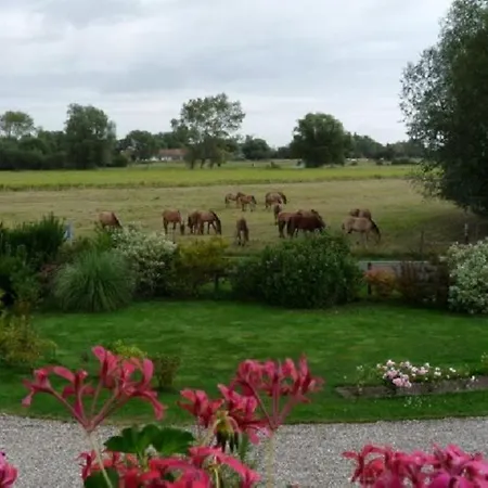 Mil Roses En Baie Bed and Breakfast