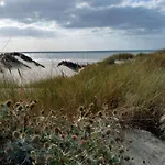 Mil Roses En Baie *