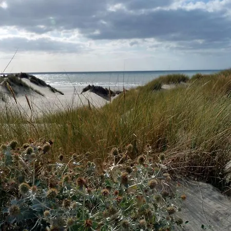 Mil Roses En Baie *